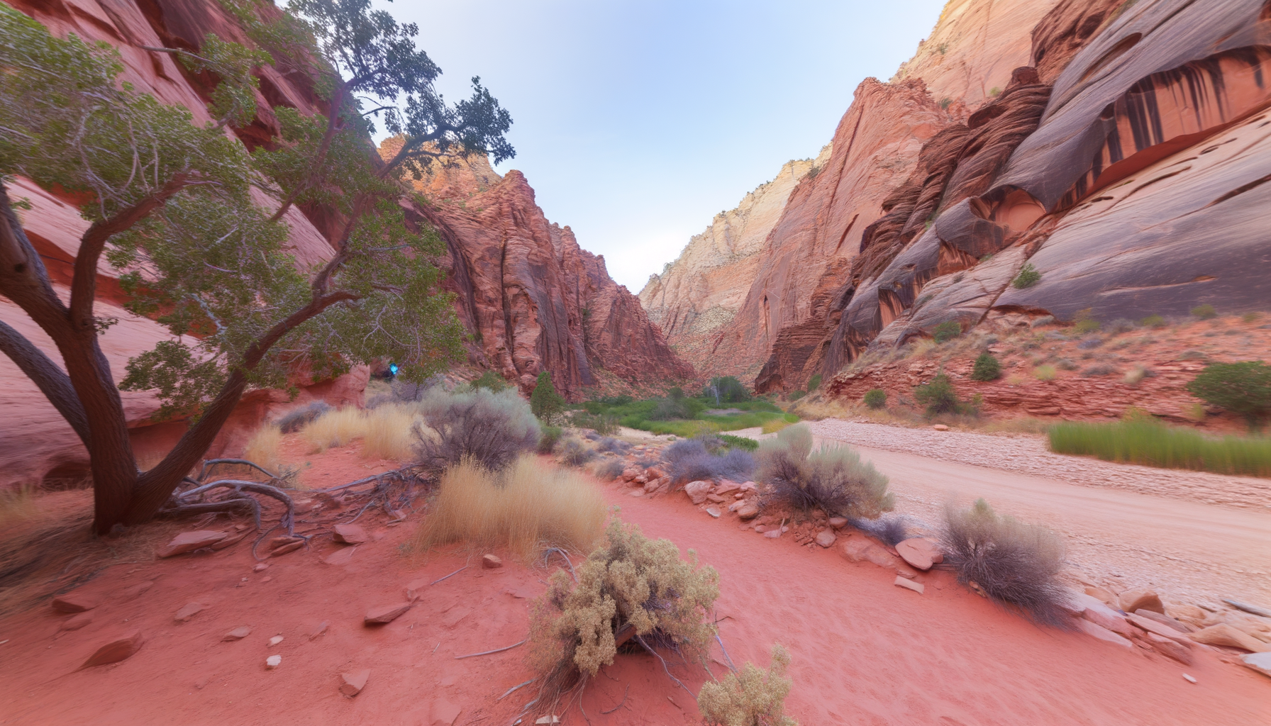 Red rock canyon walls and desert vegetation