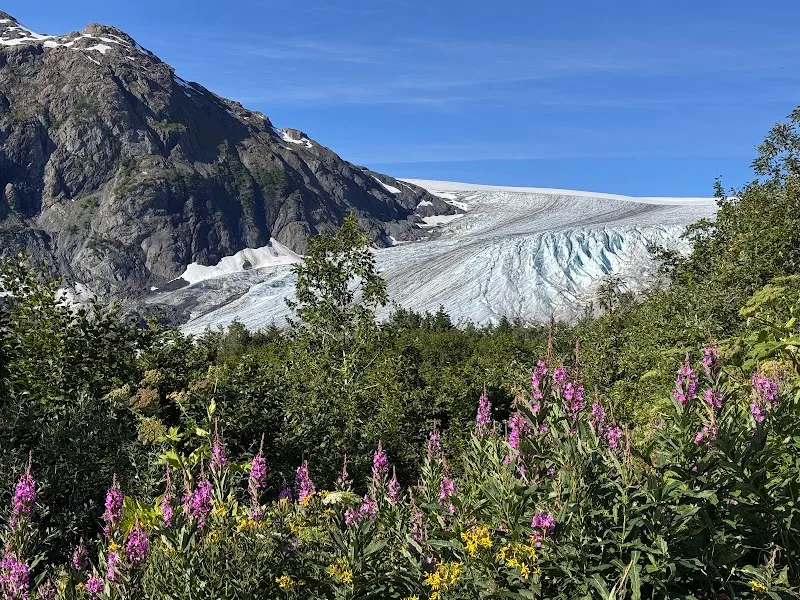Exit Glacier Trail in Kenai Fjords National Park