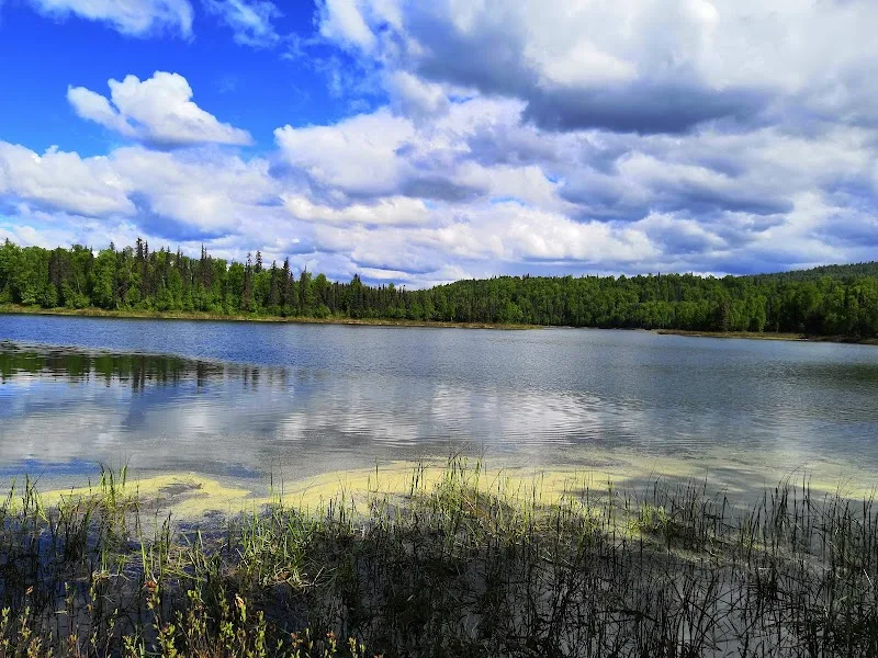 Hike @ Talkeetna Lakes Trailhead