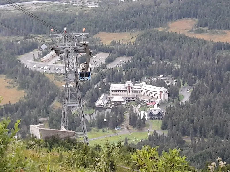 Mt. Alyeska Aerial Tram - Panoramic Photography at the Summit