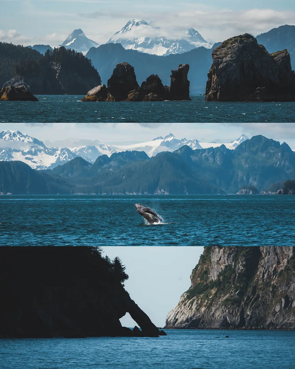 Kenai Fjords National Park Tour