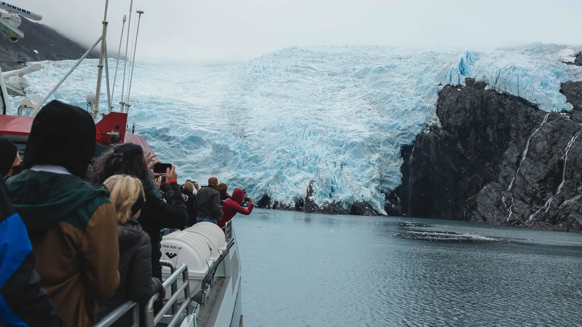 Kenai Fjords National Park Tour