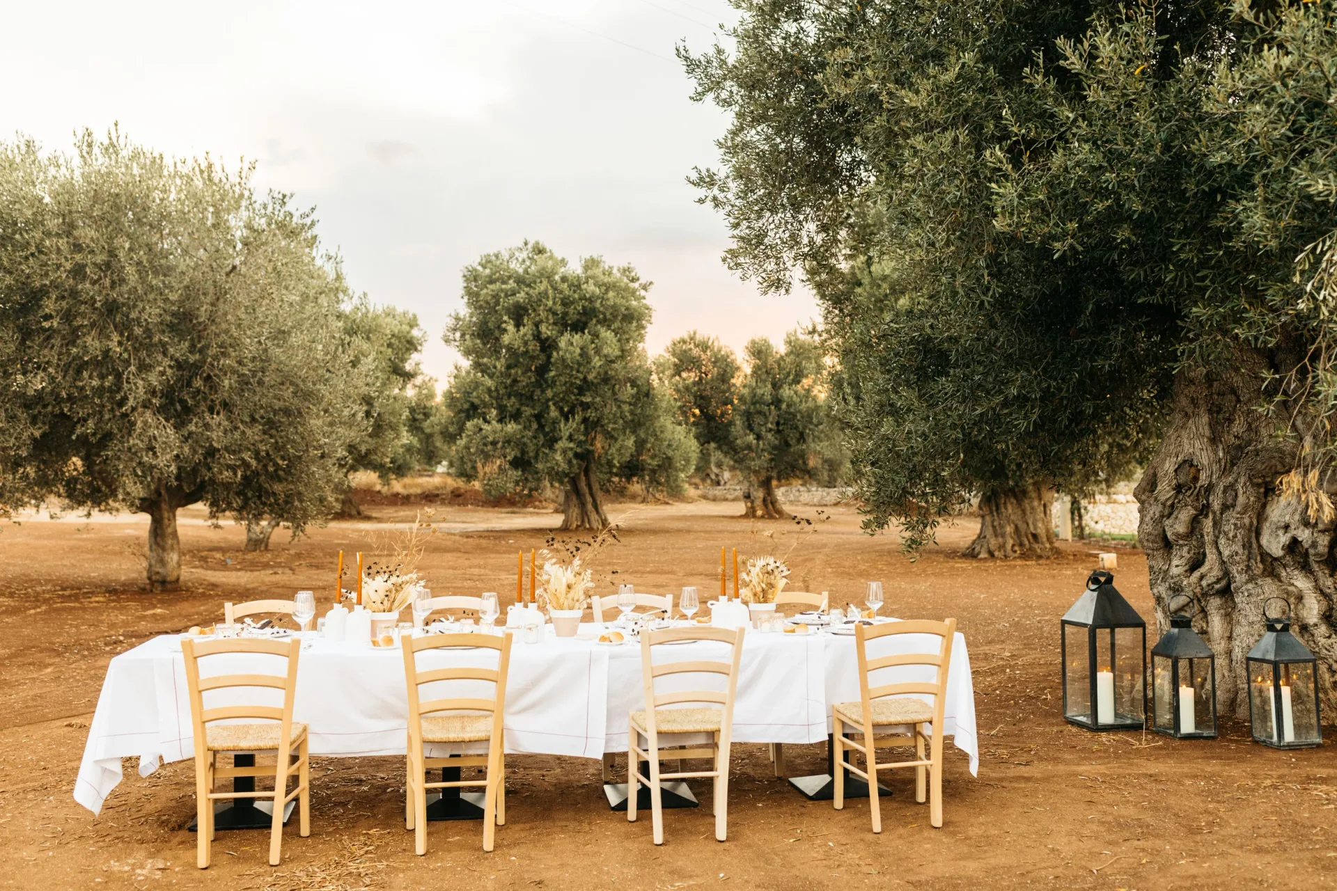 The Harvest Lunch