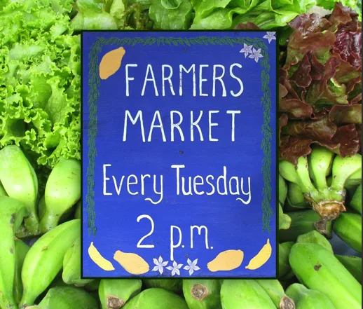 Waipa Farmers Market
