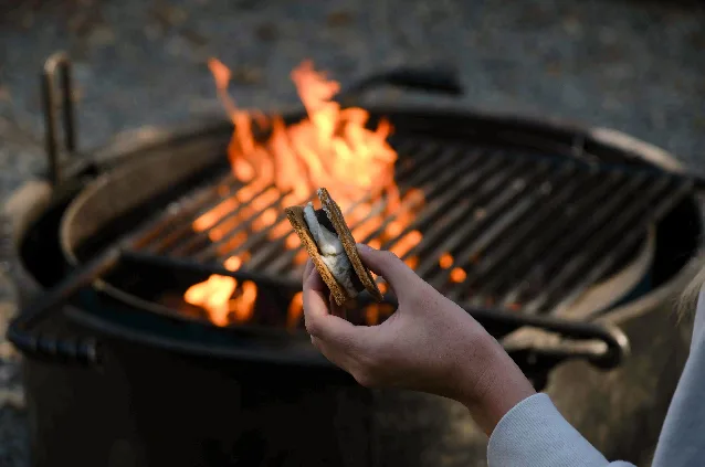 Campfire Storytelling and Q&A