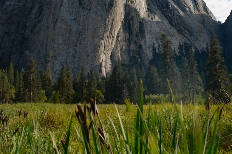 Guided Photography Walks at Tunnel View, Cook's Meadow and Lower Yosemite Falls 
