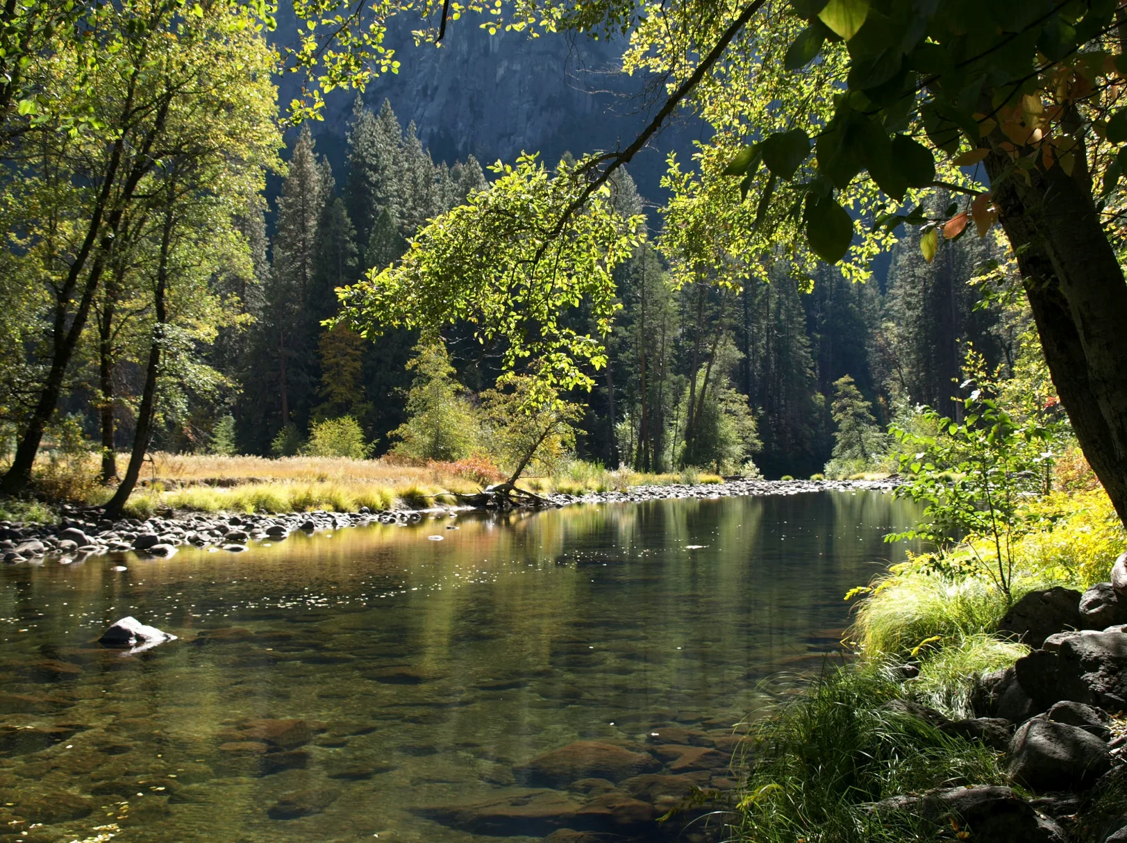 Merced River Photography Walk & Mentorship Session