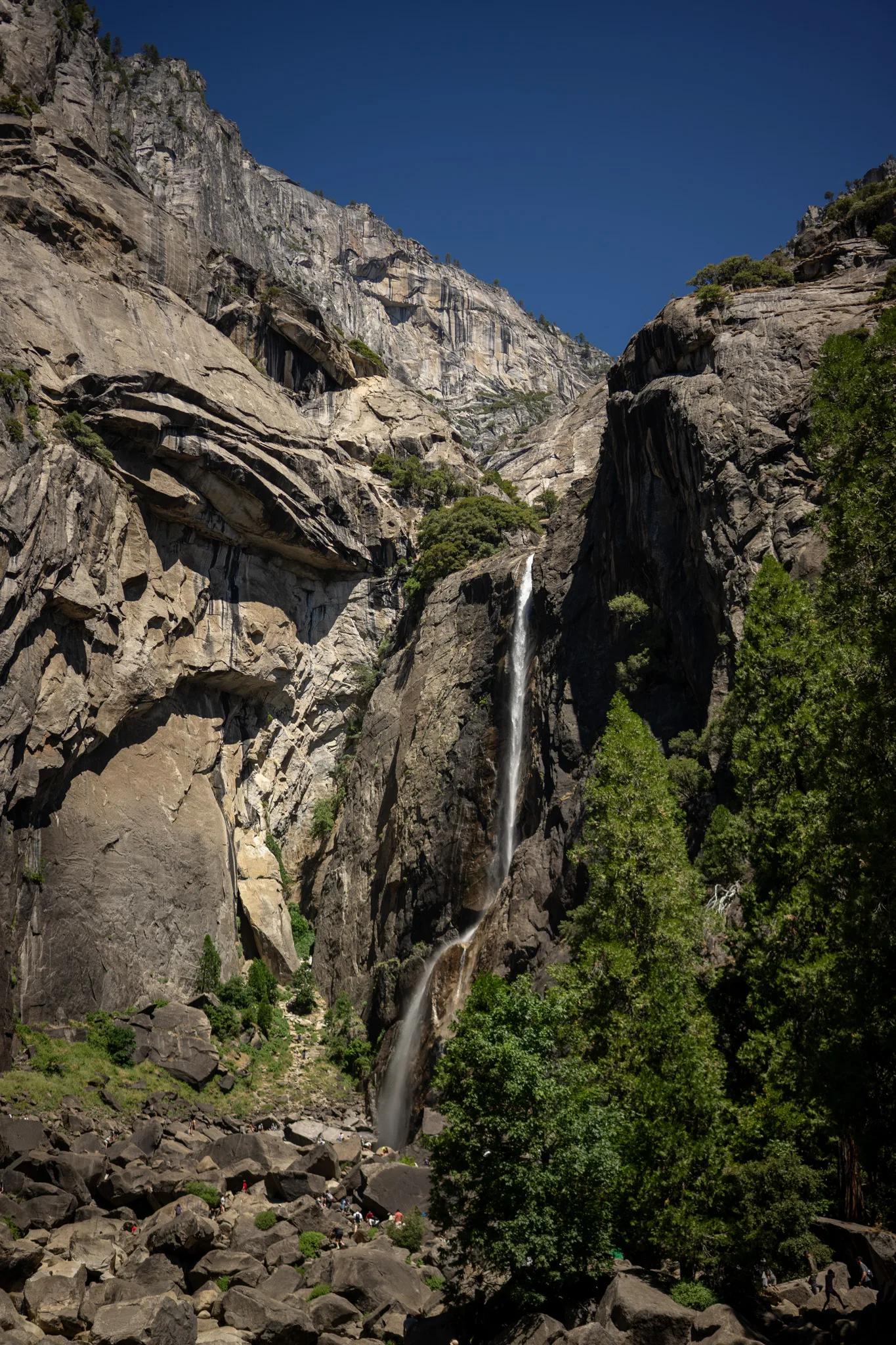 Merced River Photography Walk & Mentorship Session