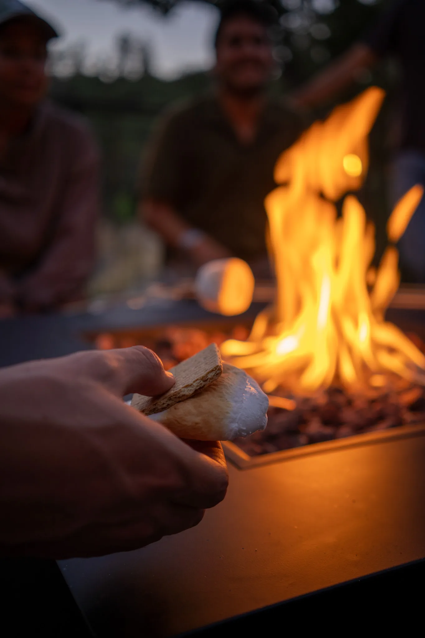 Campfire Storytelling and Q&A