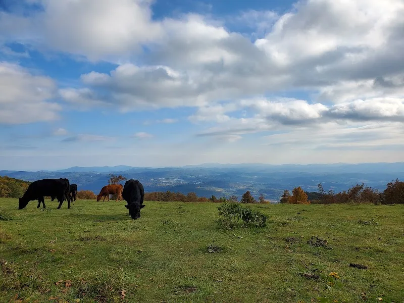 Afternoon Hike — Bearwallow Mountain