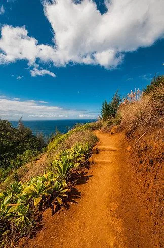 North Shore Hike