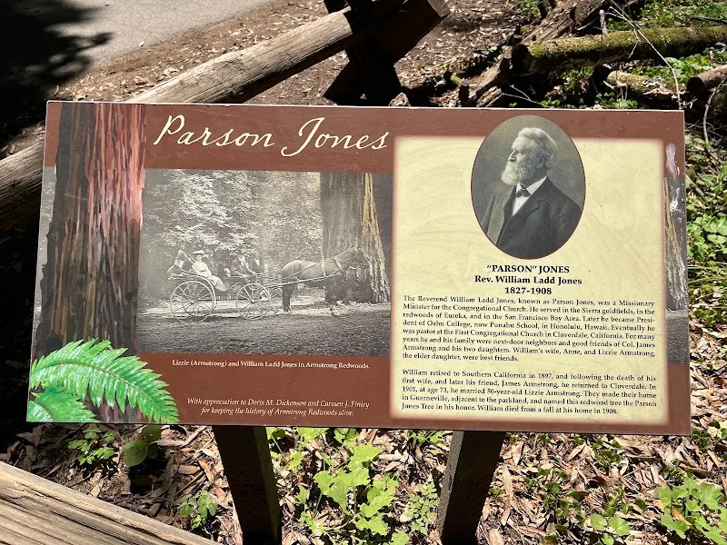 Optional Hikes at Armstrong Redwoods 