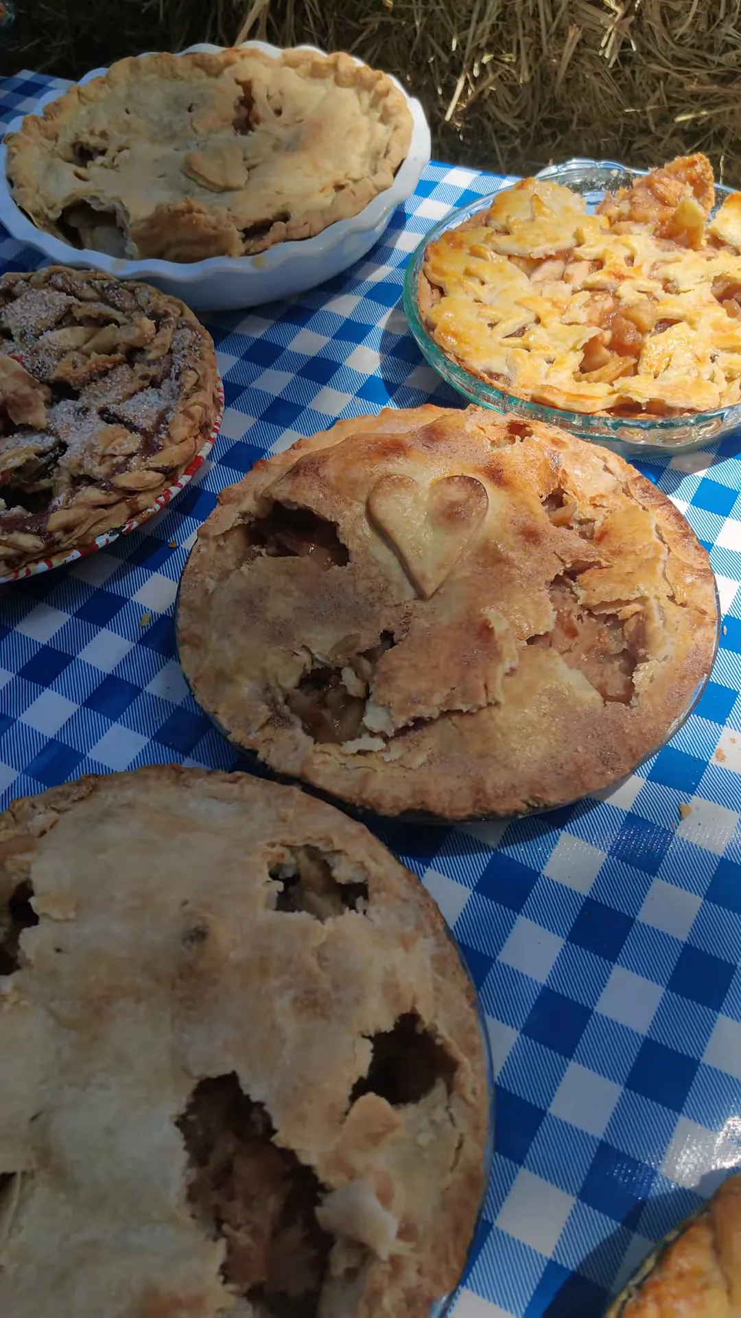 Gravenstein Apple Fair