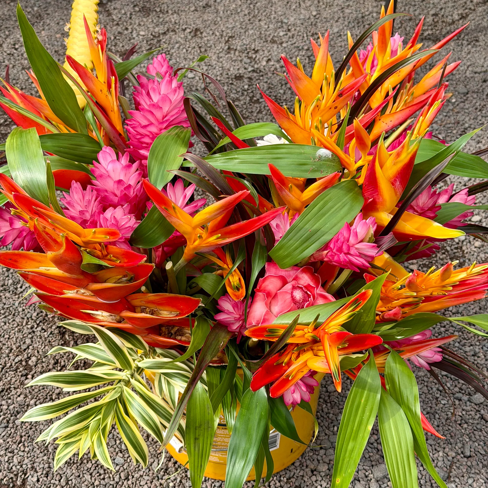Hanalei Farmers' Market