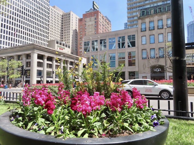Free Time - Spa or Magnificent Mile Shopping